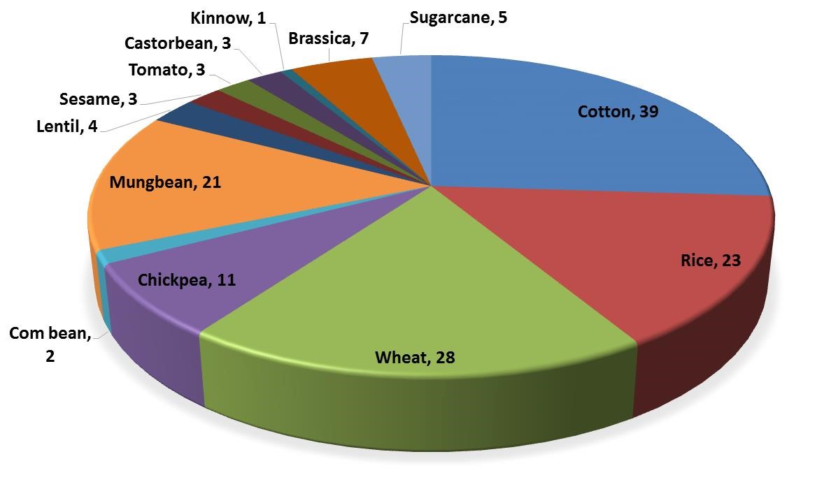 Crop Varieties Pie Chart